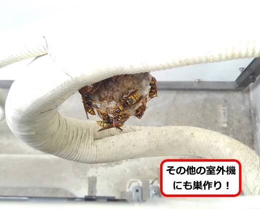 室外機配管蜂の巣