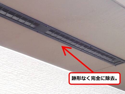 蜂の巣完全撤去