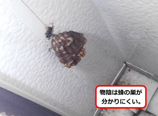 未使用ベランダ蜂の巣