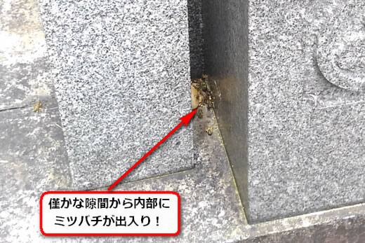 ミツバチ侵入墓石隙間