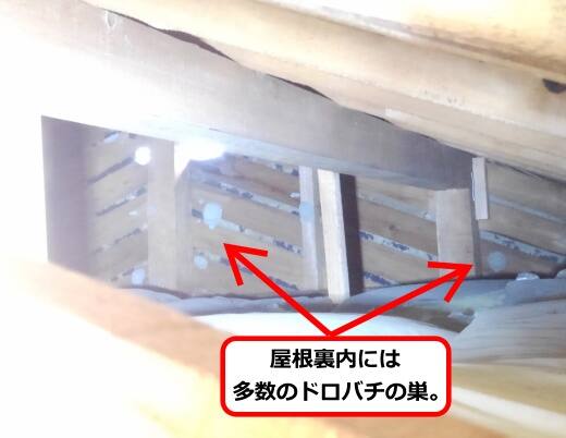 屋根裏ドロバチ巣