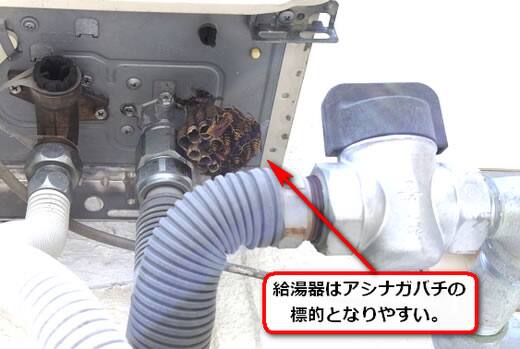 外壁給湯器蜂の巣
