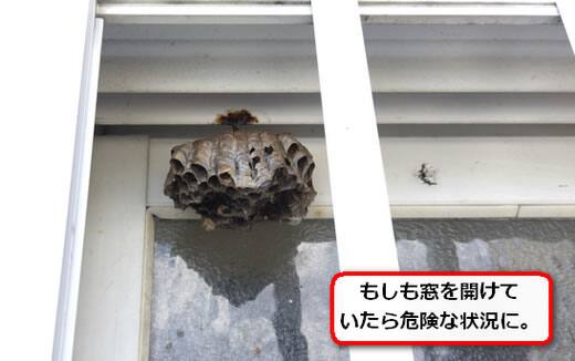 窓枠レール蜂の巣
