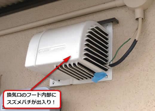スズメバチ駆除換気口