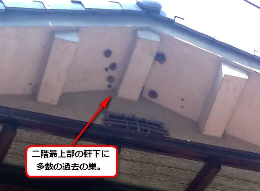アシナガバチの巣駆除二階軒下