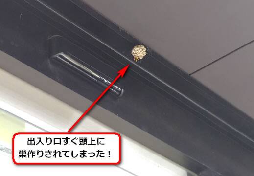 アシナガバチ駆除出入り口