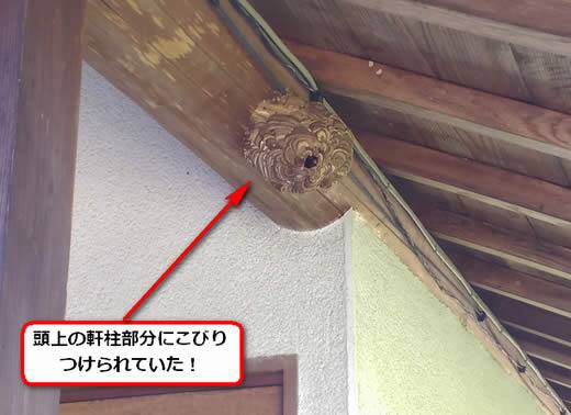 スズメバチ駆除軒柱