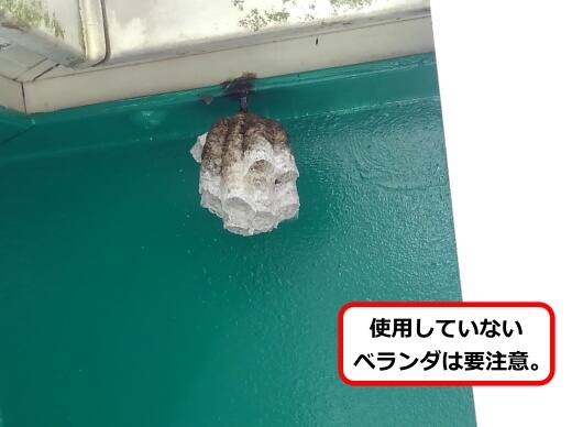 手すりアシナガバチ巣