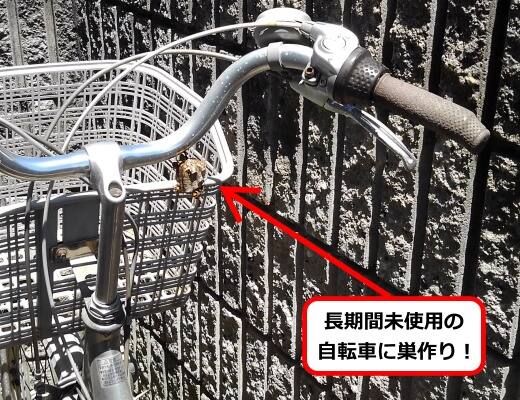 自転車蜂の巣