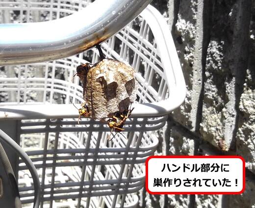 ハンドル蜂の巣