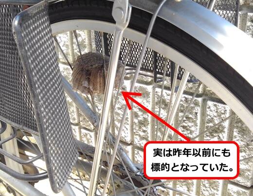 自転車後輪蜂の巣