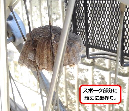 スポーク蜂の巣