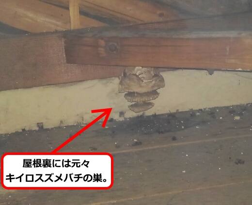 蜂の巣乗っ取り
