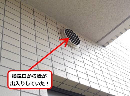 外壁換気口ハチ