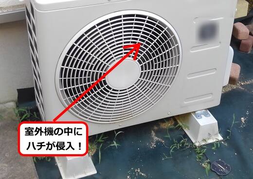 室外機ハチ侵入