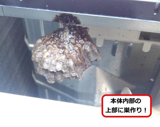 室外機アシナガバチ