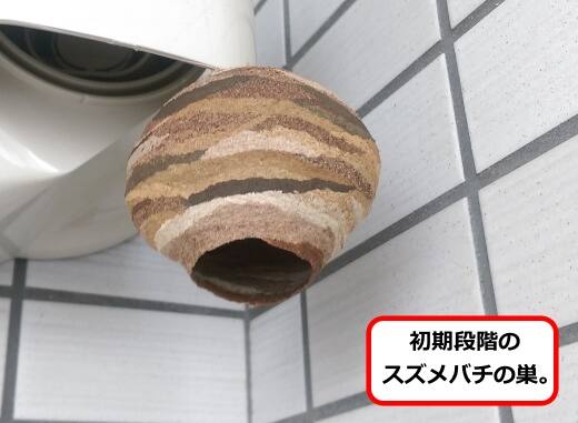 化粧カバー蜂の巣