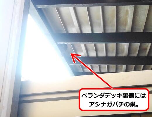 ベランダデッキ蜂の巣