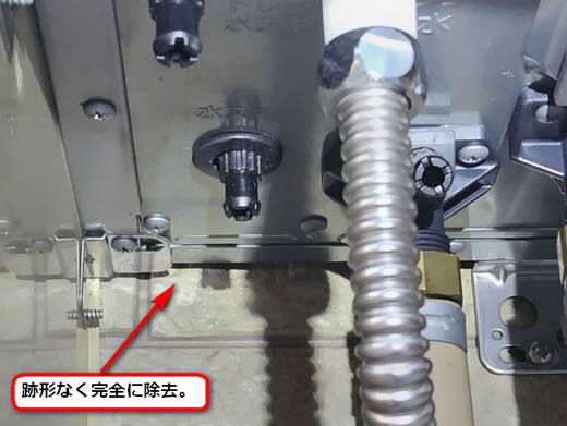 アシナガバチの巣完全撤去