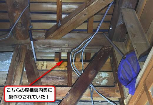 スズメバチ駆除屋根裏