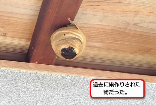 スズメバチ巣空っぽ
