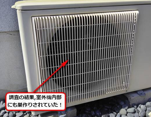 室外機アシナガバチ