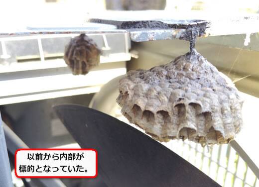 室外機内部蜂の巣