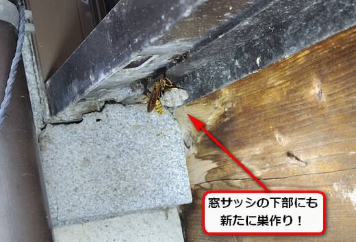 作り立て巣サッシ