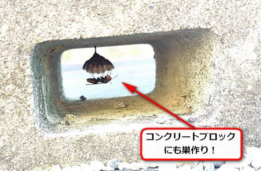 ブロック蜂の巣