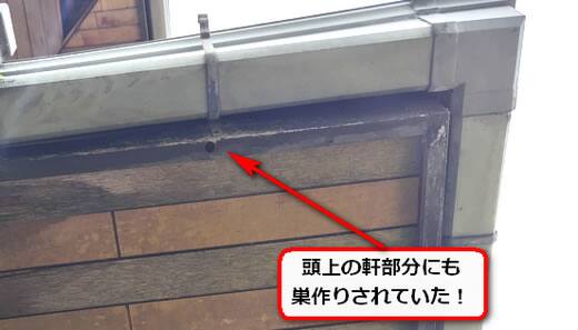 住宅軒クマバチ巣