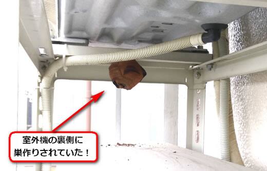 室外機裏蜂の巣