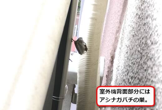 室外機アシナガバチ巣