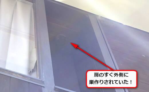 スズメバチ巣扉外側