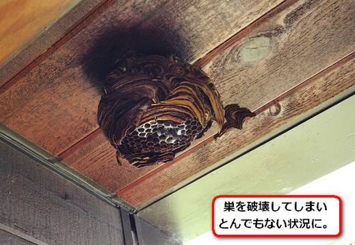 キイロスズメバチ巣破壊