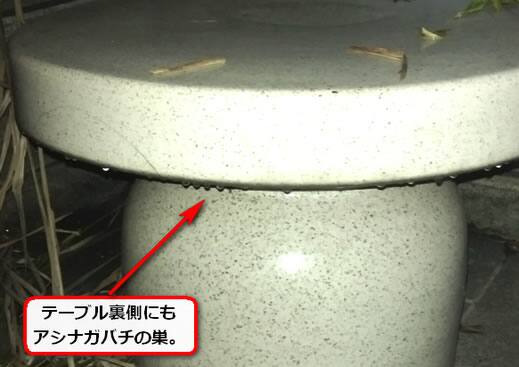テーブル蜂の巣