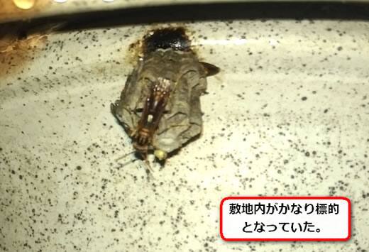 テーブル裏側蜂の巣