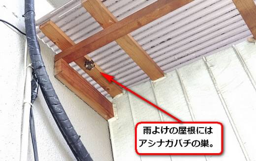 蜂の巣雨よけ屋根