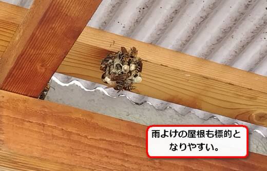 蜂の巣マンション管理人室