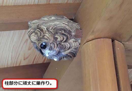 軒柱蜂の巣