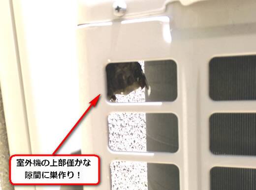 室外機蜂の巣