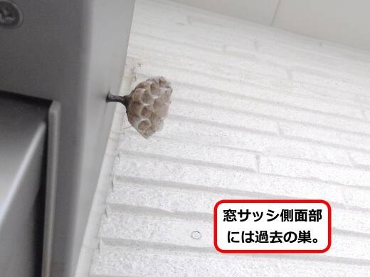 サッシ側面蜂の巣