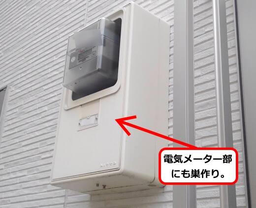 電気メーター蜂の巣