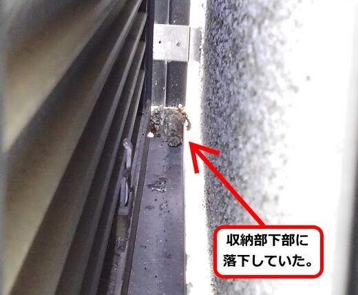 雨戸収納部蜂の巣