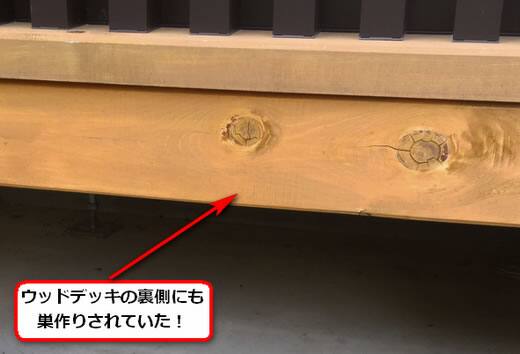 アシナガバチ駆除ウッドデッキ