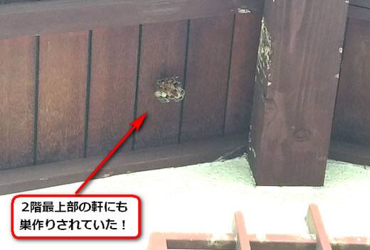 二階軒蜂の巣