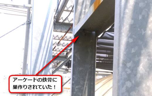 蜂の巣アーケード