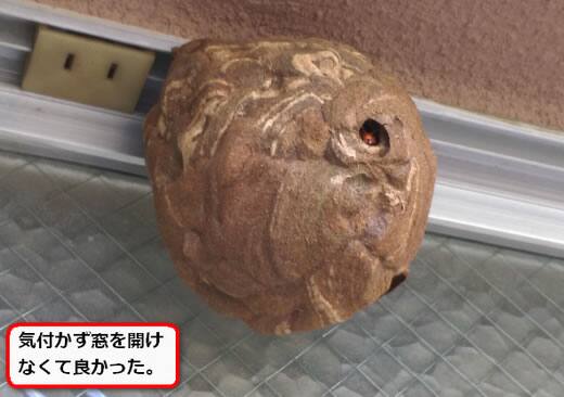 窓枠スズメバチの巣