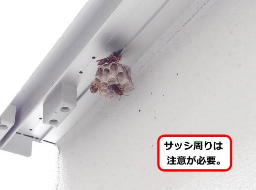 ドアレール蜂の巣