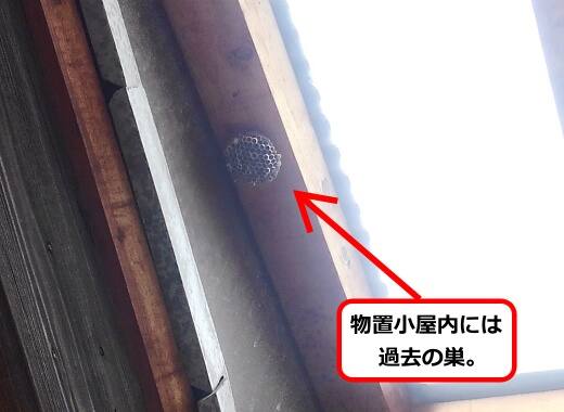 物置小屋蜂の巣
