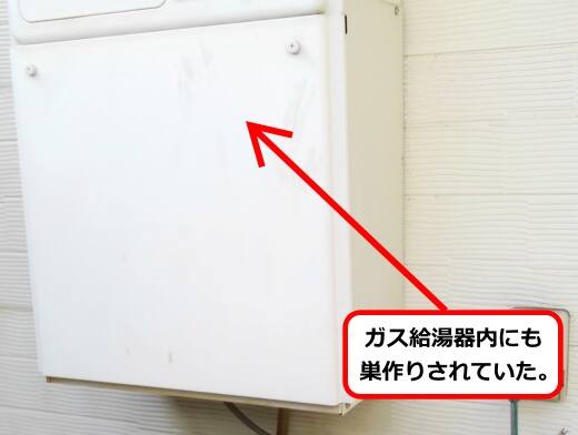 給湯器内蜂の巣